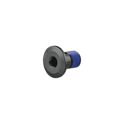 Trek 2021 Bolt M10x1x16 18.5mm Head